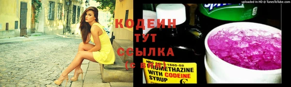 ГАЛЛЮЦИНОГЕННЫЕ ГРИБЫ Баксан