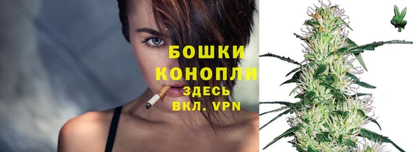 ГАЛЛЮЦИНОГЕННЫЕ ГРИБЫ Баксан