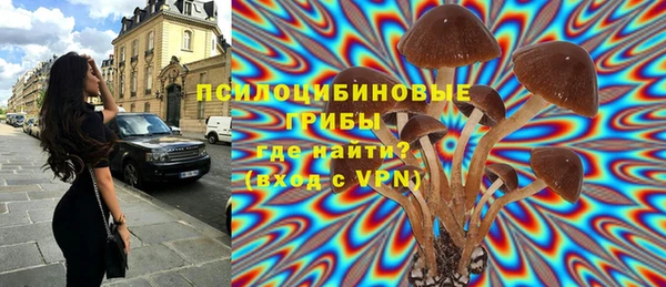 прущая мука Балахна