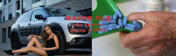 ГАЛЛЮЦИНОГЕННЫЕ ГРИБЫ Баксан
