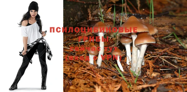 гашик Туринск