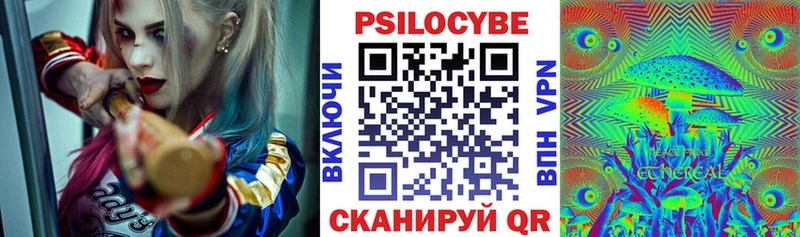 Псилоцибиновые грибы Cubensis  Вилюйск 